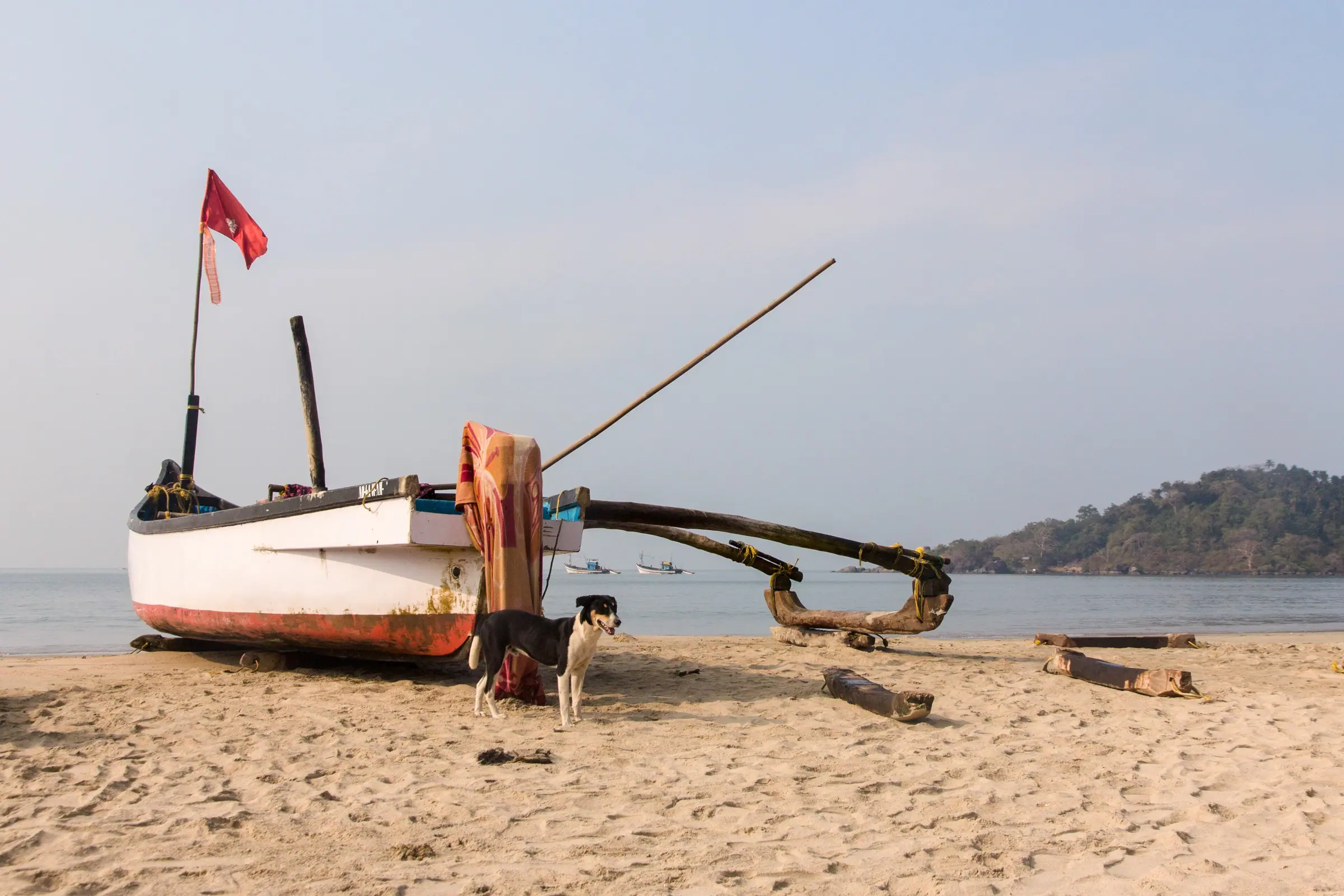 Fishing boats resting after the morning catch. — Palolem
