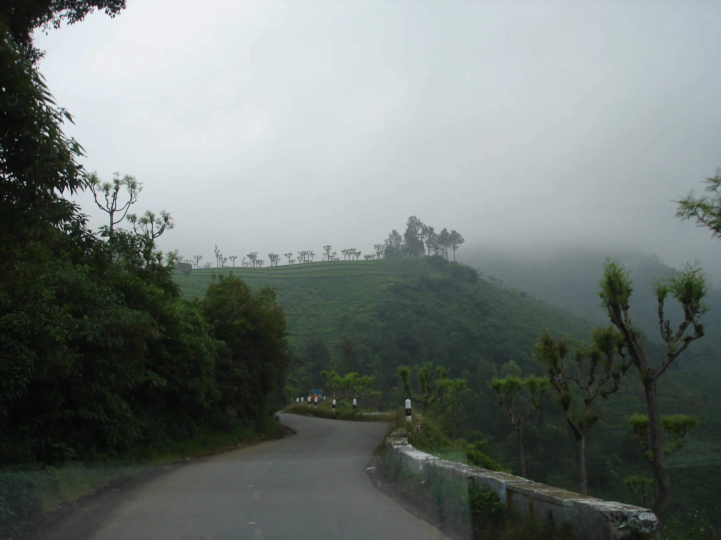 Somewhere between bend 28 and bend 29. — Kotagiri road