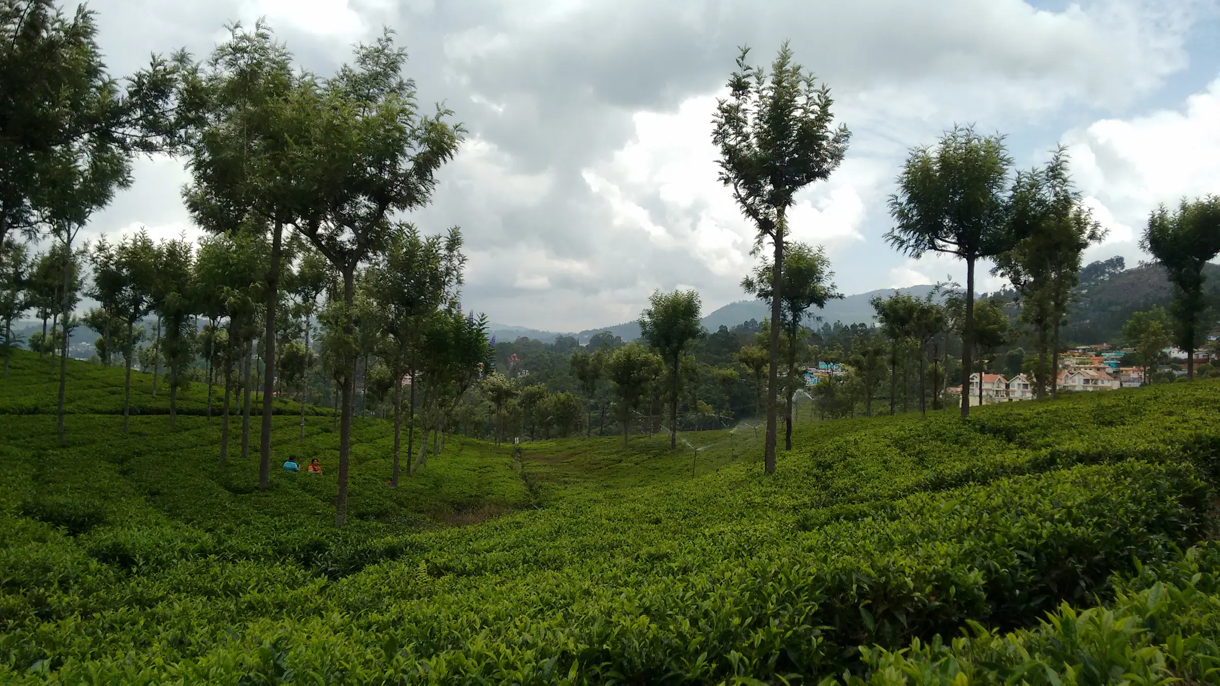 One last walk through the garden before the drive down. — Ooty